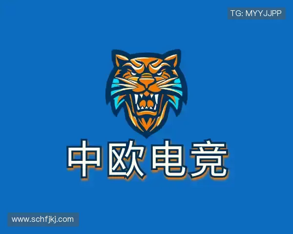 了解中欧电竞
